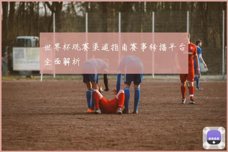 世界杯观赛渠道指南赛事转播平台全面解析