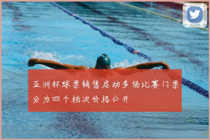 亚洲杯球票销售启动多场比赛门票分为四个档次价格公开