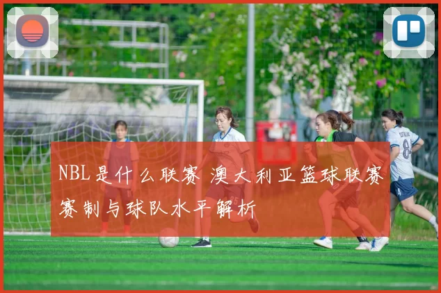 NBL是什么联赛 澳大利亚篮球联赛赛制与球队水平解析