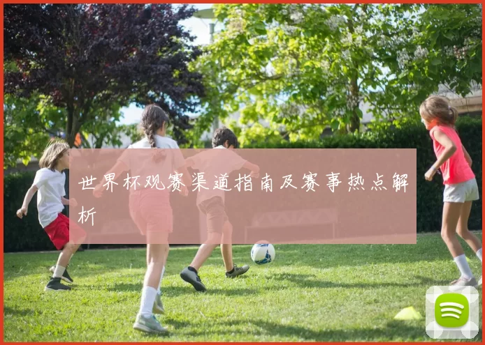 世界杯观赛渠道指南及赛事热点解析